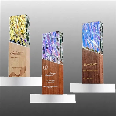 Crystal Vision Awards